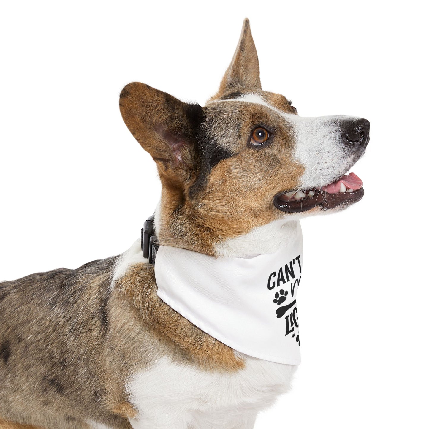 Funny Dog Bandana | Cute Pet Accessory for Dogs | Birthday Party Dog Apparel | Gift for Dog Lovers | Unique Pet Outfit