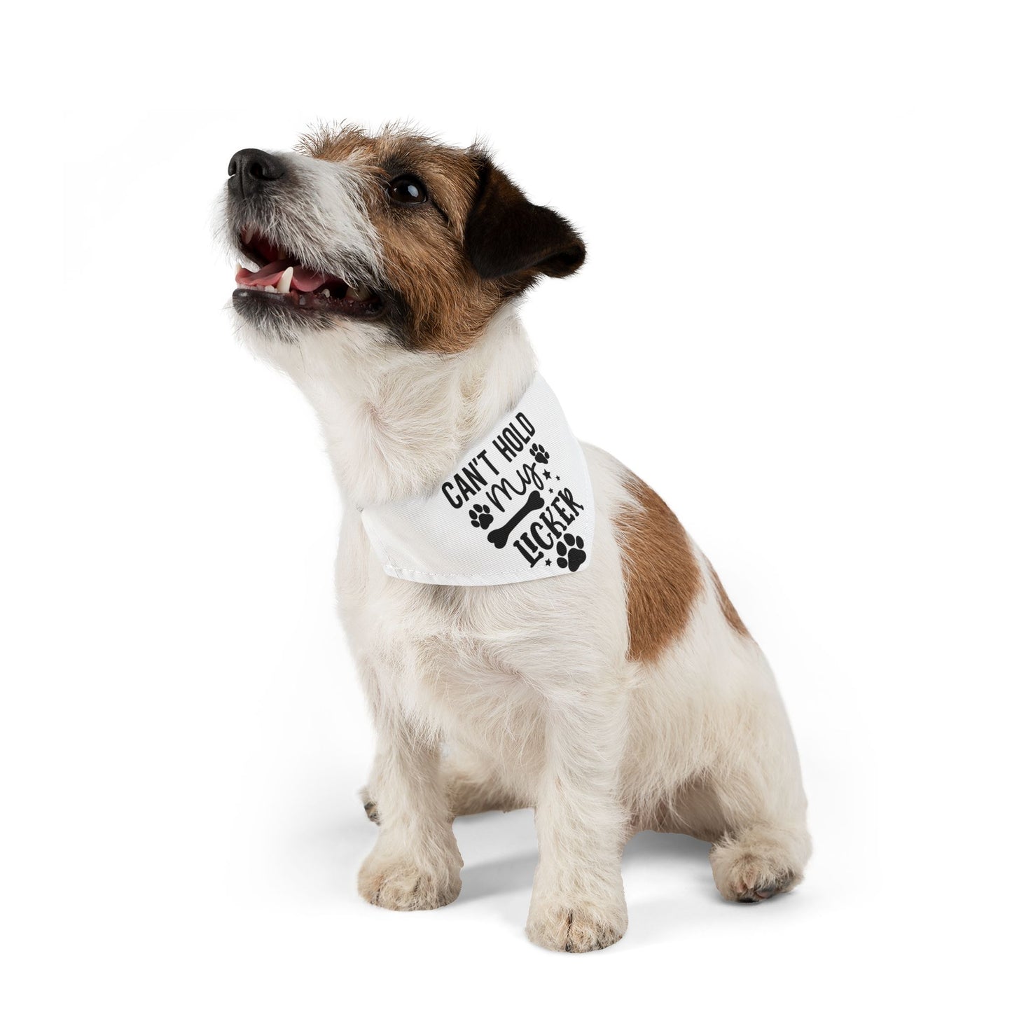 Funny Dog Bandana | Cute Pet Accessory for Dogs | Birthday Party Dog Apparel | Gift for Dog Lovers | Unique Pet Outfit