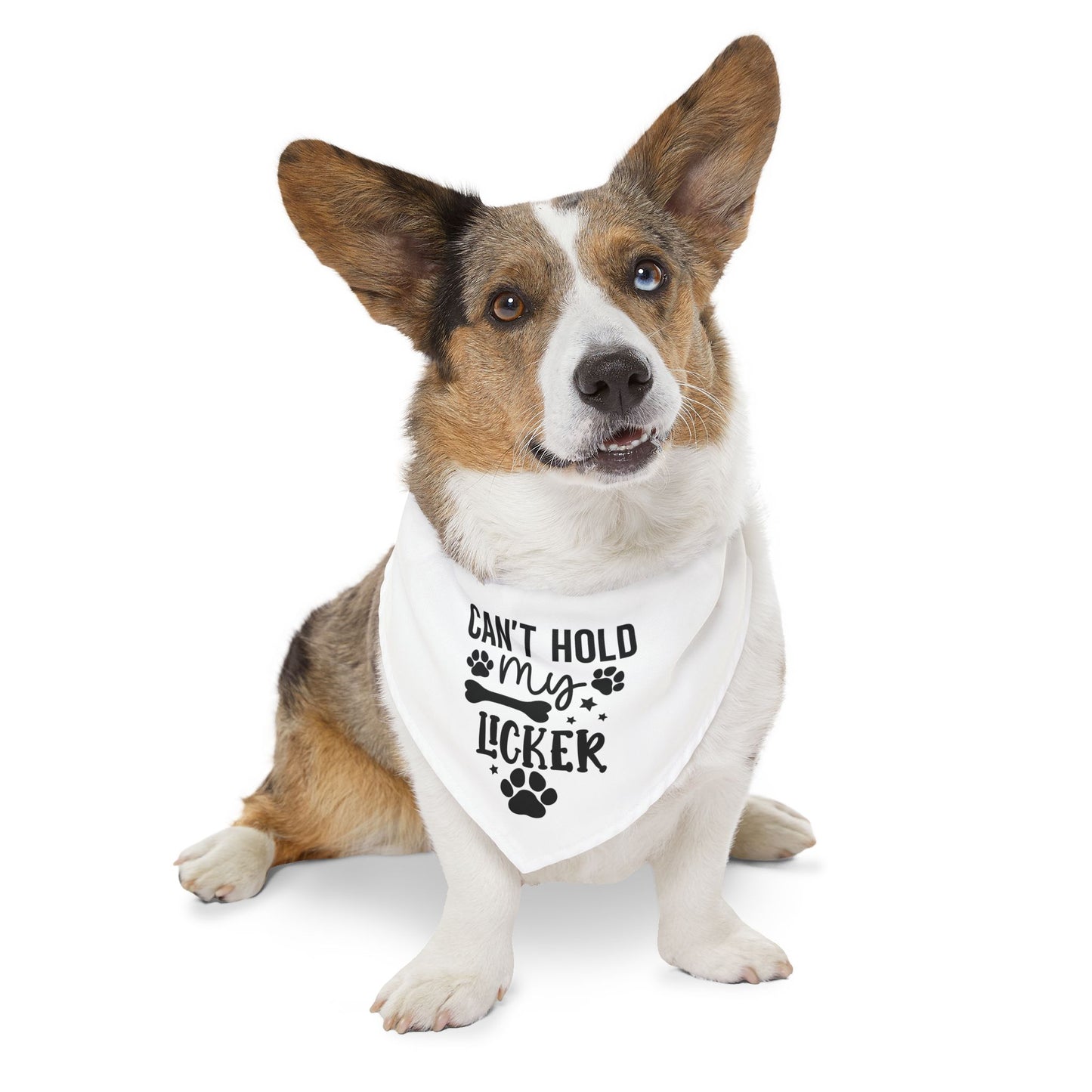 Funny Dog Bandana | Cute Pet Accessory for Dogs | Birthday Party Dog Apparel | Gift for Dog Lovers | Unique Pet Outfit