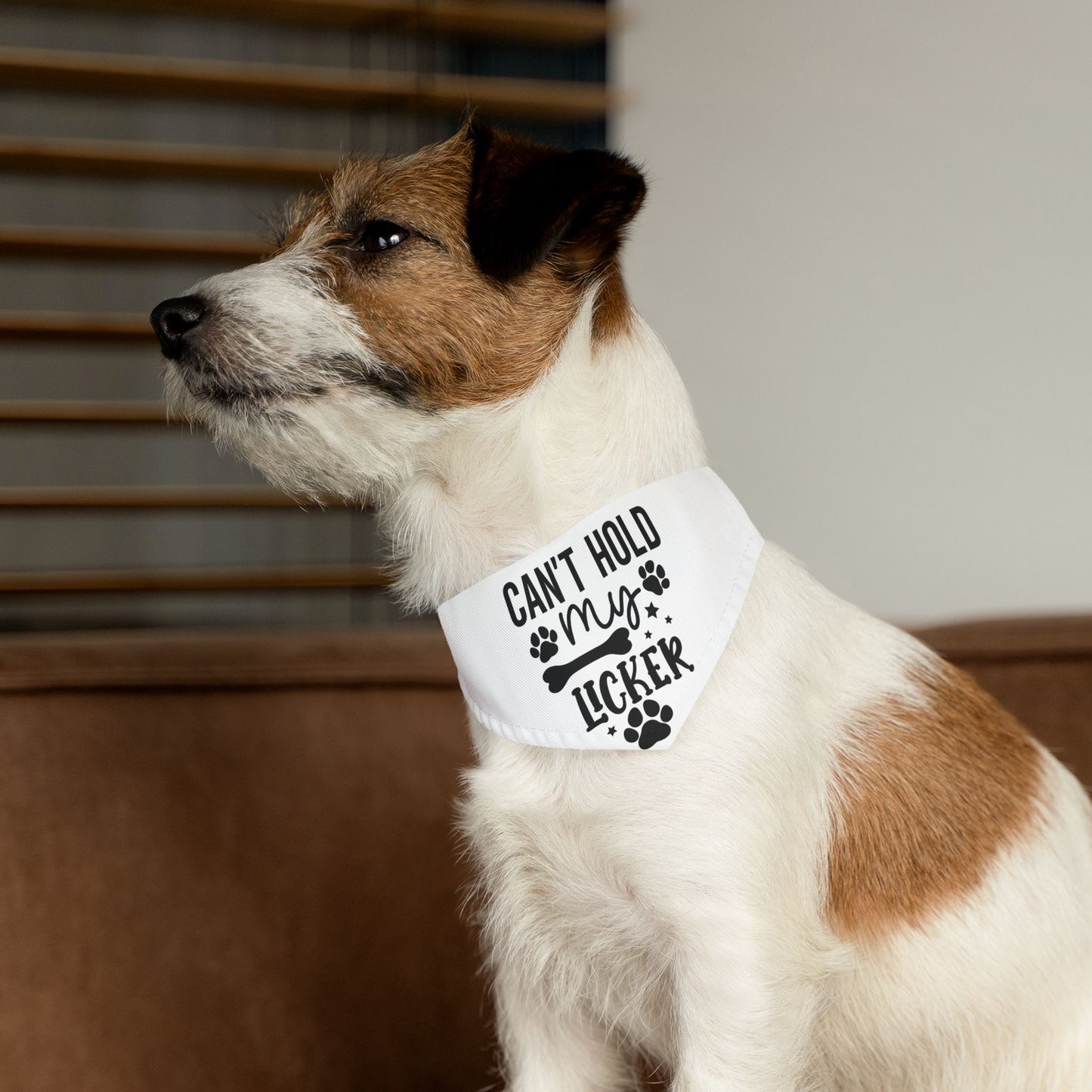 Funny Dog Bandana | Cute Pet Accessory for Dogs | Birthday Party Dog Apparel | Gift for Dog Lovers | Unique Pet Outfit